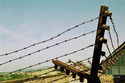 Mauthausen Barbed Wire Fence 0008