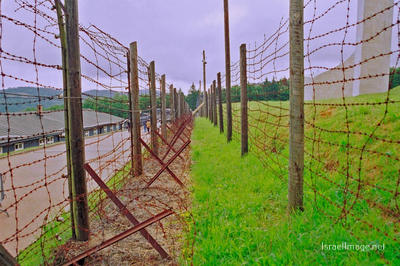 Natzweiler-Struthof Barbed Wire Fences 0003