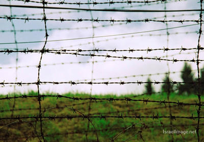 Natzweiler-Struthof Barbed Wire Fences 0005