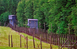 Natzweiler-Struthof Watchtower 0004