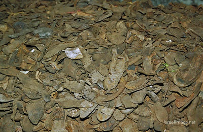 Stutthof Prisoners' Shoes 0001