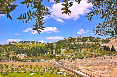 Jerusalem Mt Of Olives 0004