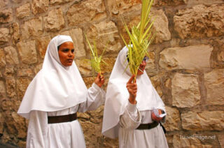 Palm Sunday 0008