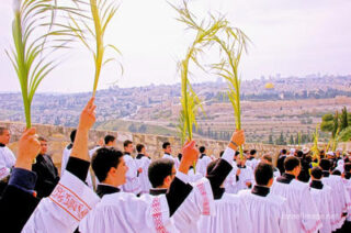 Palm Sunday 0016
