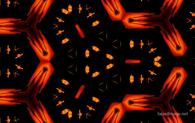 The Kaleidoscope Of Life 0200