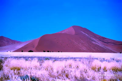 Namibia Sossusvlei 0014