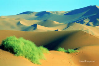 Namibia Sossusvlei 0025