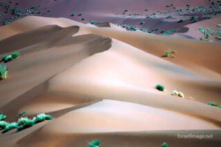 Namibia Sossusvlei 0029