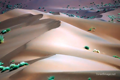 Namibia Sossusvlei 0029