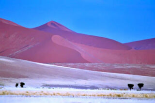 Namibia Sossusvlei 0031