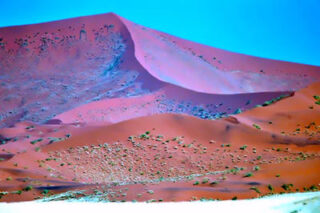 Namibia Sossusvlei 0044