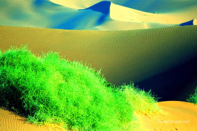 Namibia Sossusvlei 0048