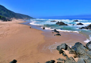 South Africa Keurboomstrand Western Cape 0004