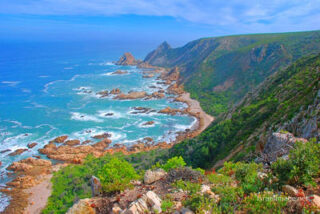 South Africa Kranshoek Garden Route Western Cape 0001