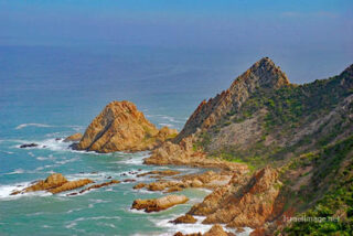 South Africa Kranshoek Garden Route Western Cape 0002