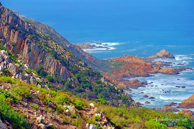 South Africa Kranshoek Garden Route Western Cape 0003