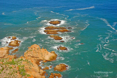 South Africa Kranshoek Garden Route Western Cape 0004