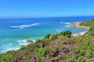 South Africa Plettenberg Bay Garden Route Western Cape 0002
