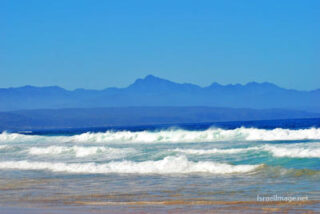 South Africa Plettenberg Bay Garden Route Western Cape 0008