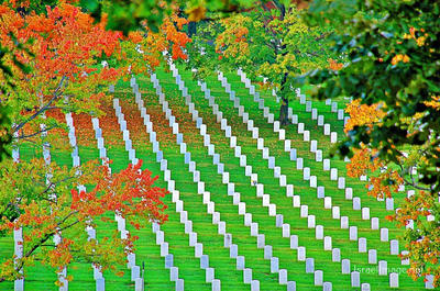 pho-trav-was-usa arlington cemetery virginia 0001th USA Arlington Cemetery Virginia 0001