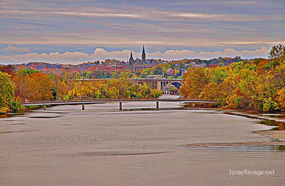 USA Washington DC Georgetown Fall Foliage 0001