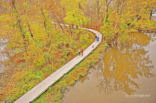 USA Washington DC Potomac River Fall Foliage 0003