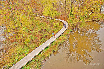 USA Washington DC Potomac River Fall Foliage 0003