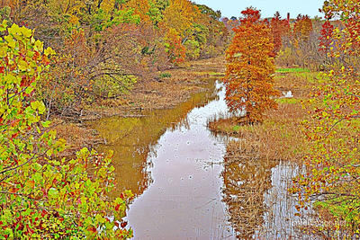 USA Washington DC Potomac River Fall Foliage 0004