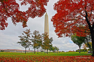 USA Washington DC Washington Monument Fall Foliage 0001