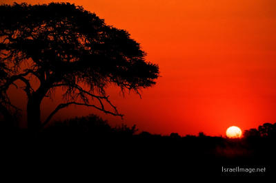 afrika sunset Afrika Sunset 0001