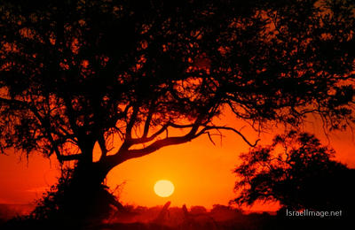 Afrika Sunset 0003