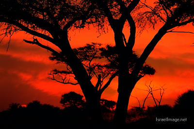 Afrika Sunset 0004