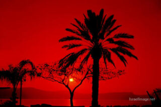 Israel Kinneret Sea Of Galilee 0002