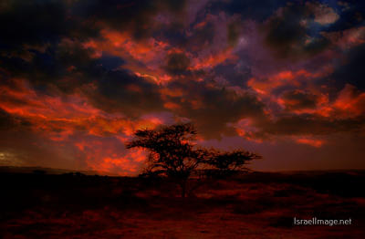 israel negev sunset Israel Negev Sunset 0001