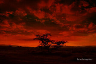 Israel Negev Sunset 0003