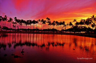 Usa Oahu Hawaii Sunset 0001
