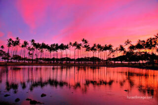 Usa Oahu Hawaii Sunset 0004