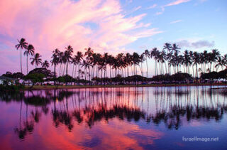 Usa Oahu Hawaii Sunset 0006