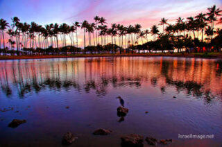 Usa Oahu Hawaii Sunset 0007