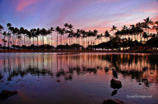 Usa Oahu Hawaii Sunset 0008