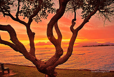 usa O‘ahu hawaii sunset 0001 Usa Oahu Hawaii Sunset 0014