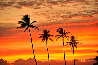 usa O‘ahu hawaii sunset 0001 Usa Oahu Hawaii Sunset 0016