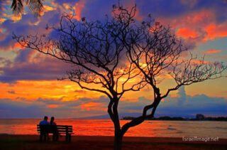 Usa Oahu Hawaii Sunset 0018