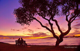 Usa Oahu Hawaii Sunset 0019
