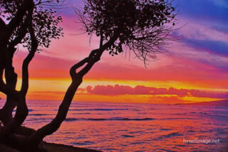 Usa Oahu Hawaii Sunset 0022