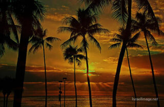 Usa Oahu Hawaii Sunset 0025