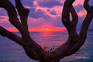 Usa Oahu Hawaii Sunset 0028