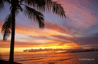 Usa Oahu Hawaii Sunset 0029