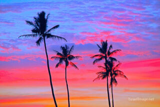 Usa Oahu Hawaii Sunset 0030