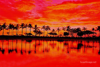 Usa Oahu Hawaii Sunset 0031